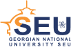 georgain_university